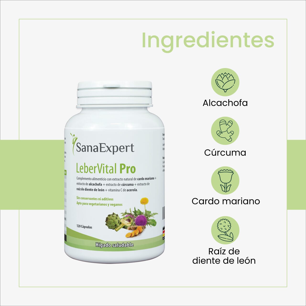 SanaExpert LeberVital Pro