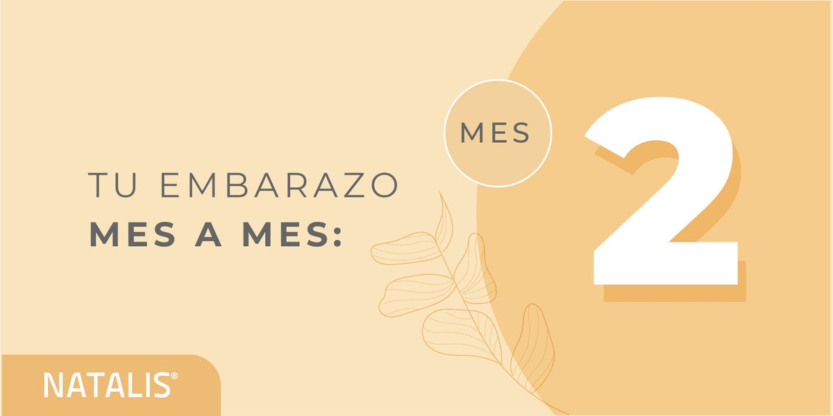 Segundo Mes De Embarazo: Síntomas Y Cuidados – TUYMCH