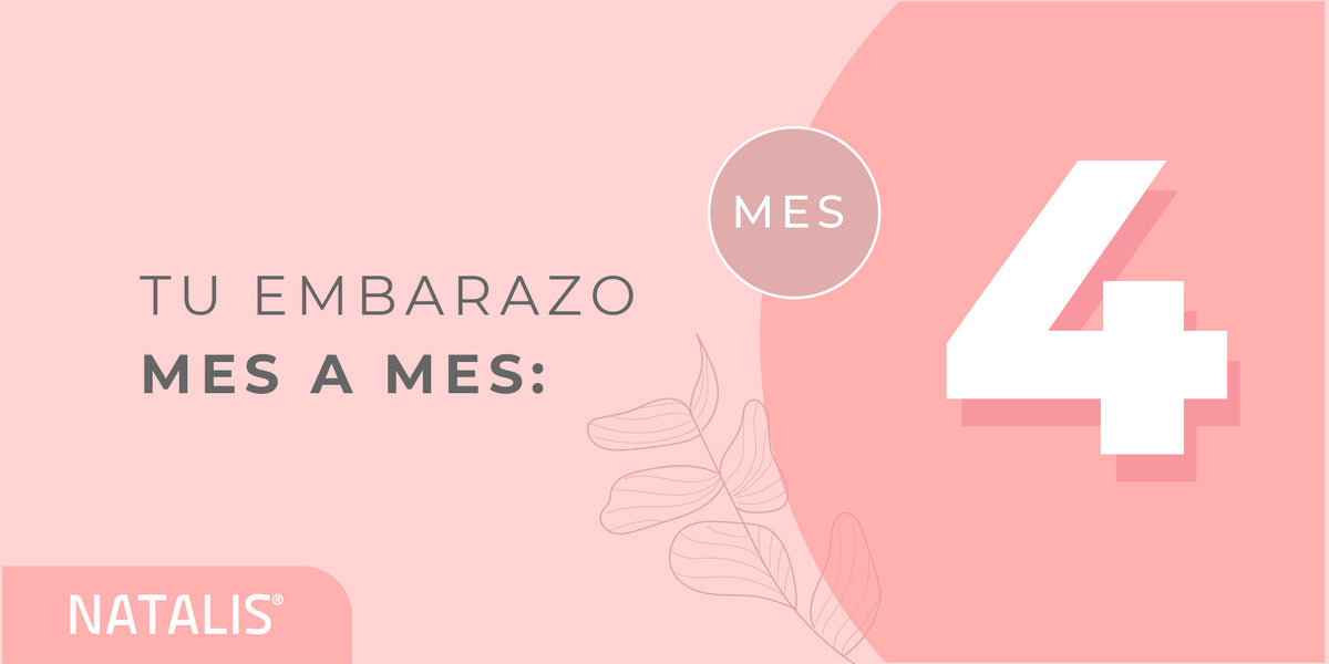 El cuarto mes de embarazo: síntomas y desarrollo del Bebé – SanaExpert ES